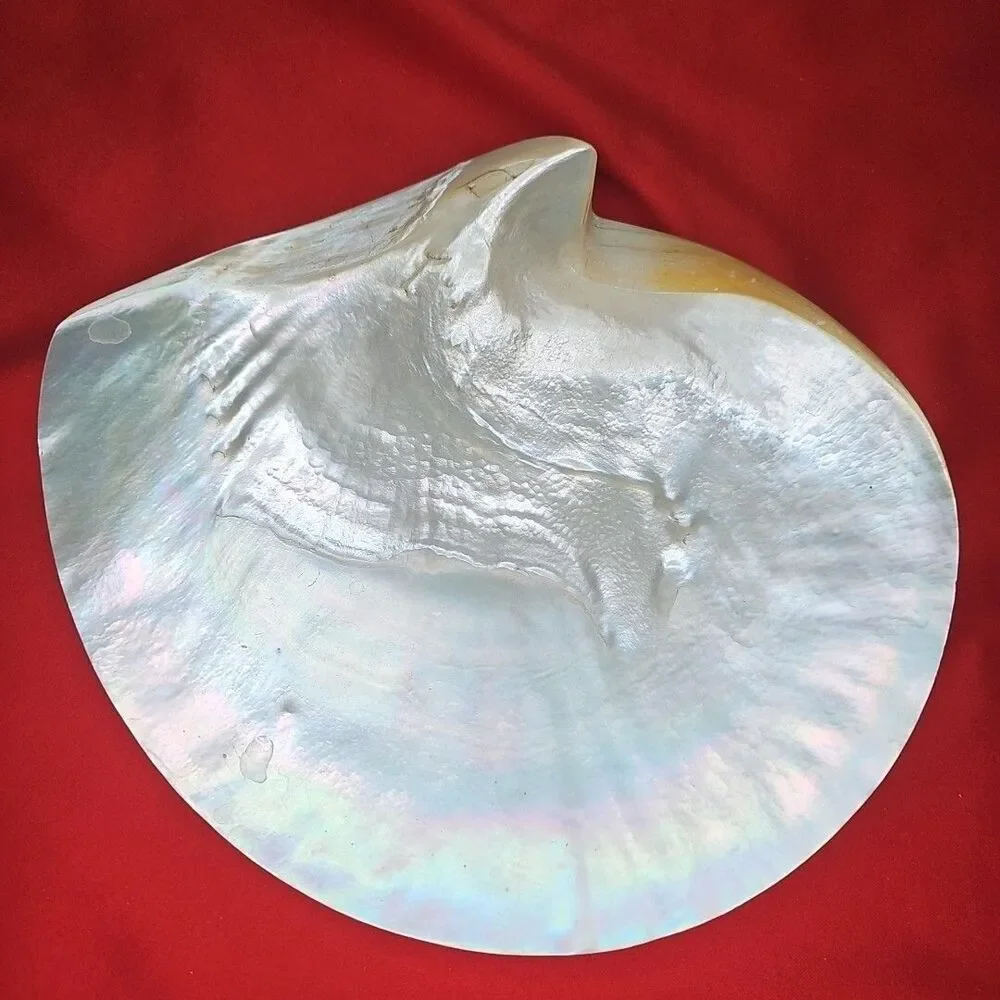 Mother of Pearl Caviar Snack Serving Plates & Knife Shell Polished Trinket